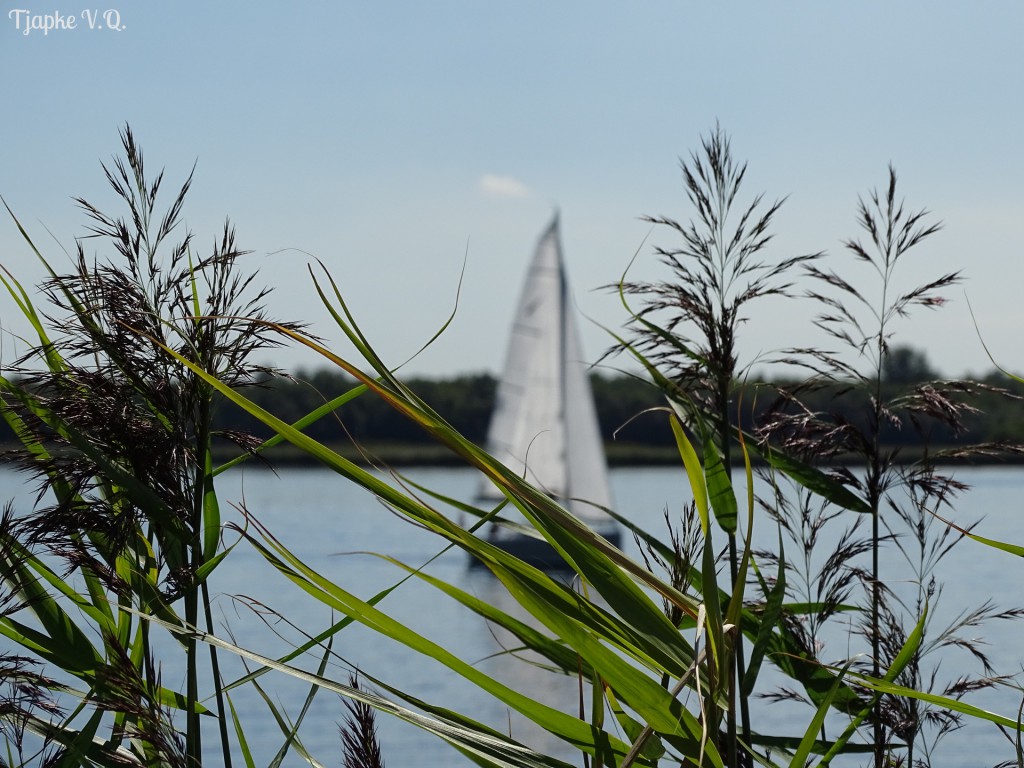 het Veerse Meer