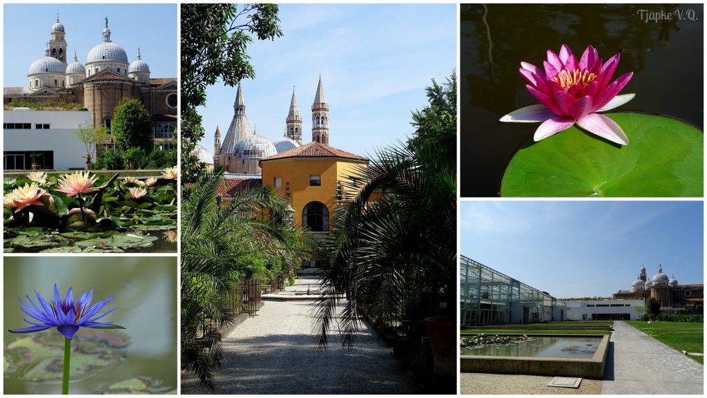 Orto Botanico di Padova