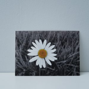 Margriet