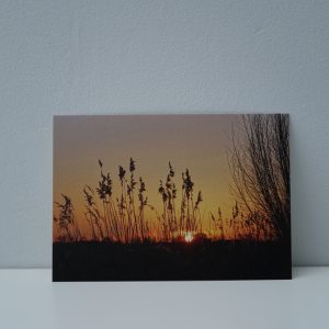 Zonsopgang Oude Kalevallei (3)