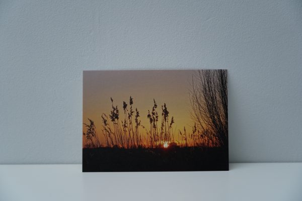 Zonsopgang Oude Kalevallei (3)