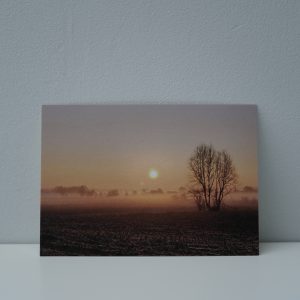 Mistige zonsopgang in Aalter