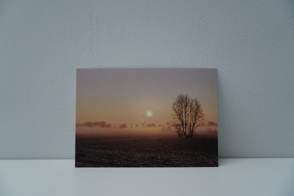 Mistige zonsopgang in Aalter