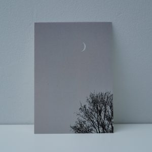 Boom met maan (1) - zwartwit