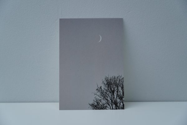 Boom met maan (1) - zwartwit