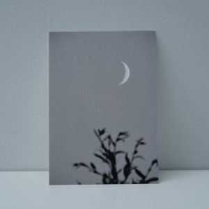 Boom met maan (2) - zwartwit