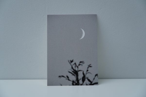 Boom met maan (2) - zwartwit