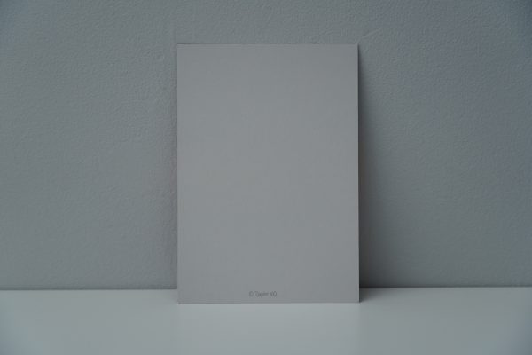 Klaproos (2) - Afbeelding 2