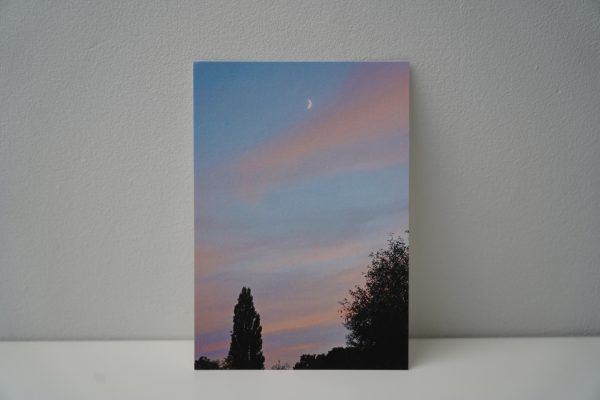 Pastel